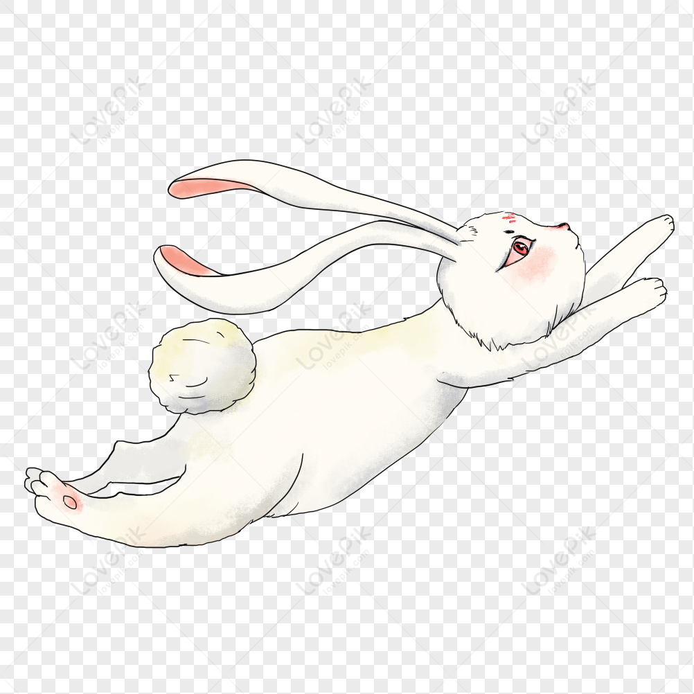 Running Rabbit PNG Free Download And Clipart Image For Free Download -  Lovepik | 401610373