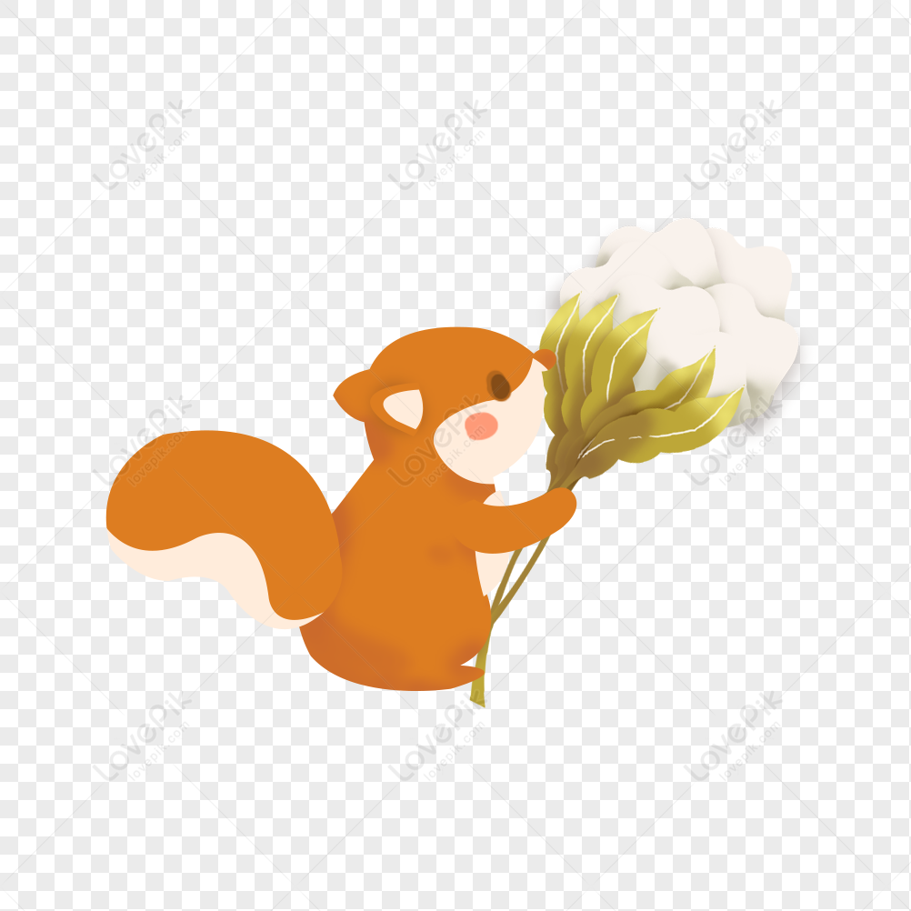 Squirrel Holding Cotton PNG Transparent Image And Clipart Image ...