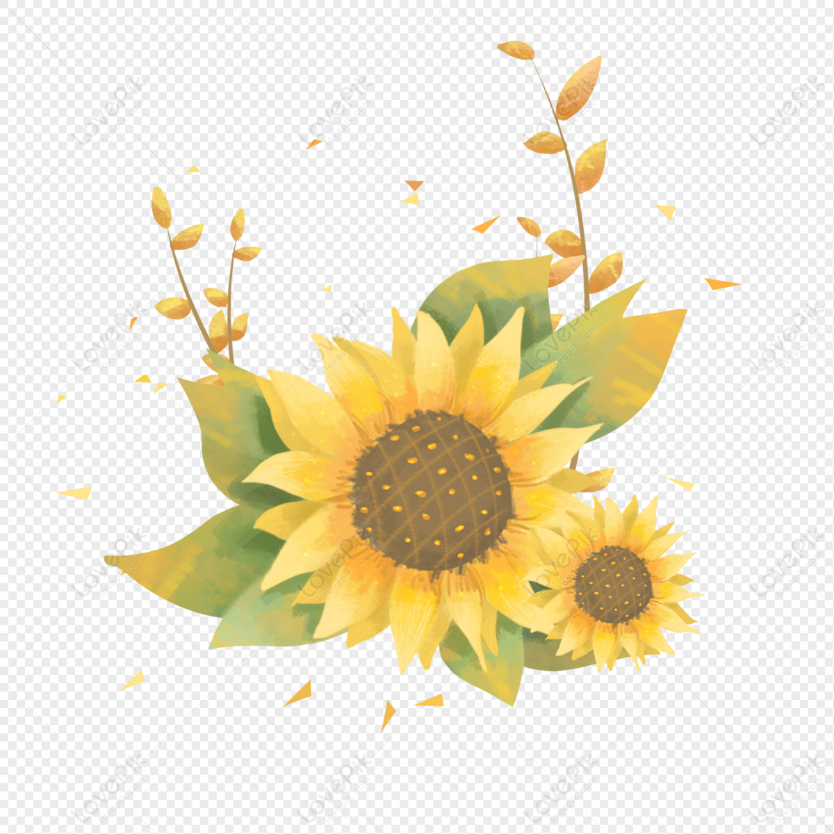 Girasol PNG Imágenes Gratis - Lovepik