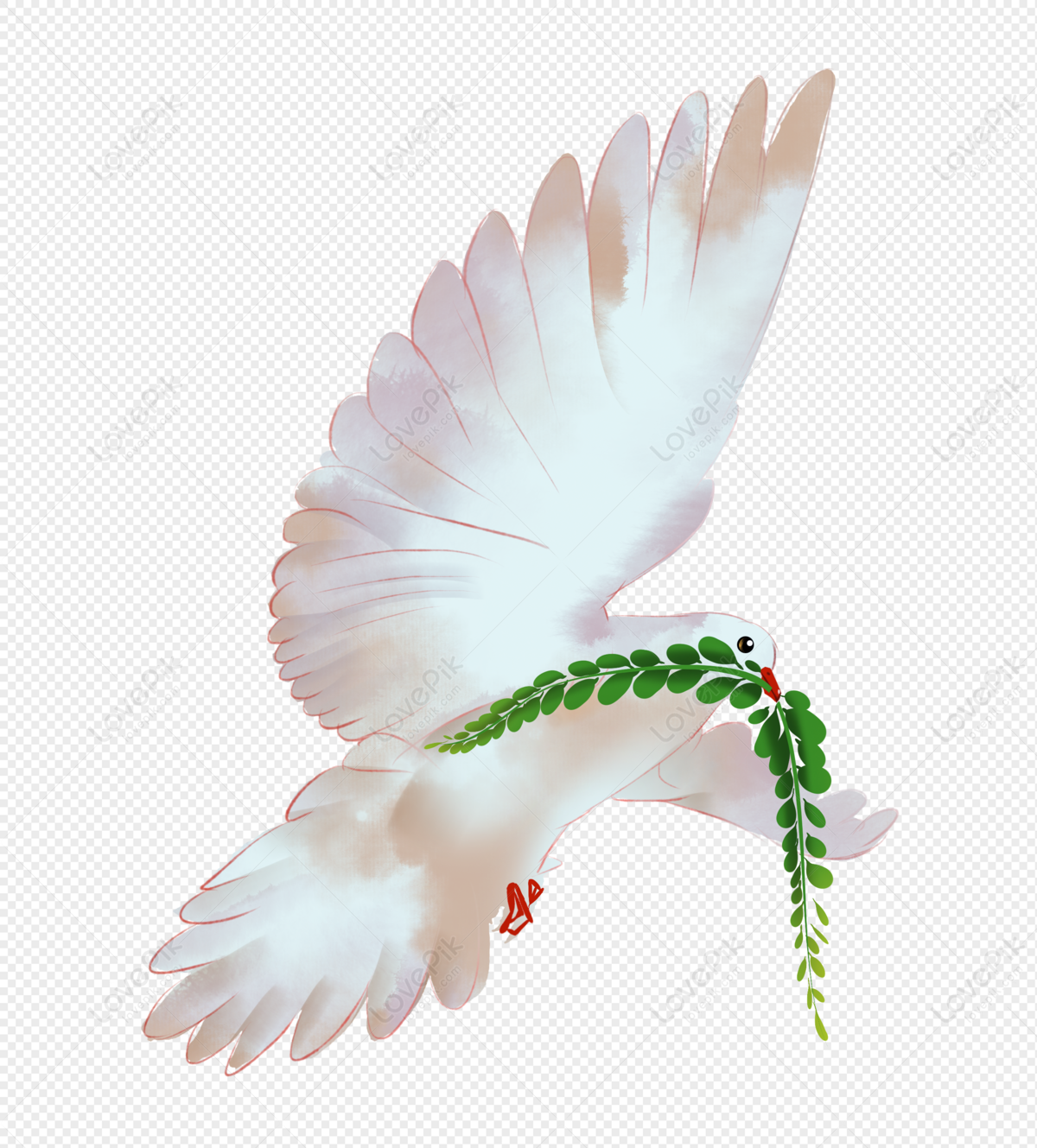 Hình ảnh Chim Bồ Câu Hòa Bình Thế Giới PNG Miễn Phí Tải Về - Lovepik