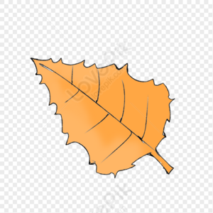 Autumn Leaves PNG Images With Transparent Background | Free Download On ...