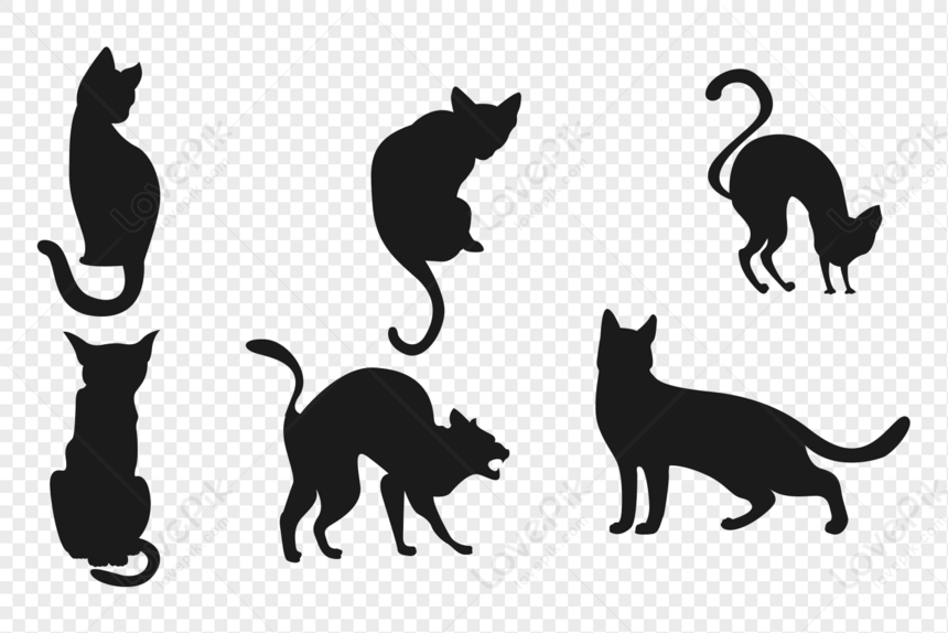 Halloween Black Cat, Black Cats, Horror, Black Cat Silhouette PNG ...