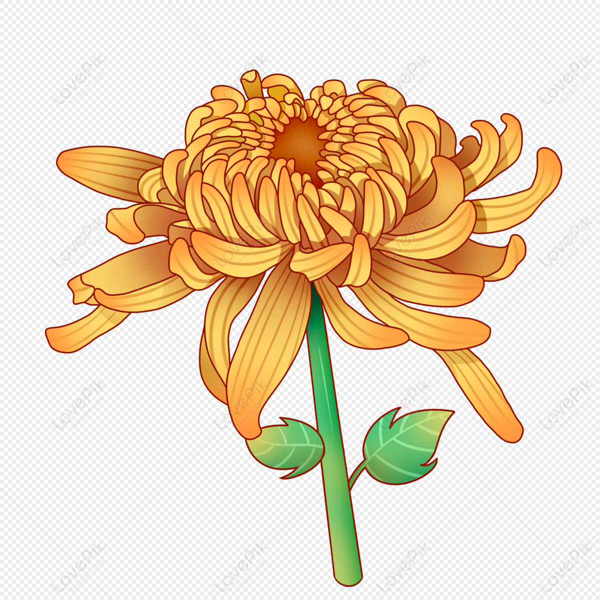 Hand Drawn Cartoon Daisy PNG Hd Transparent Image And Clipart Image For ...