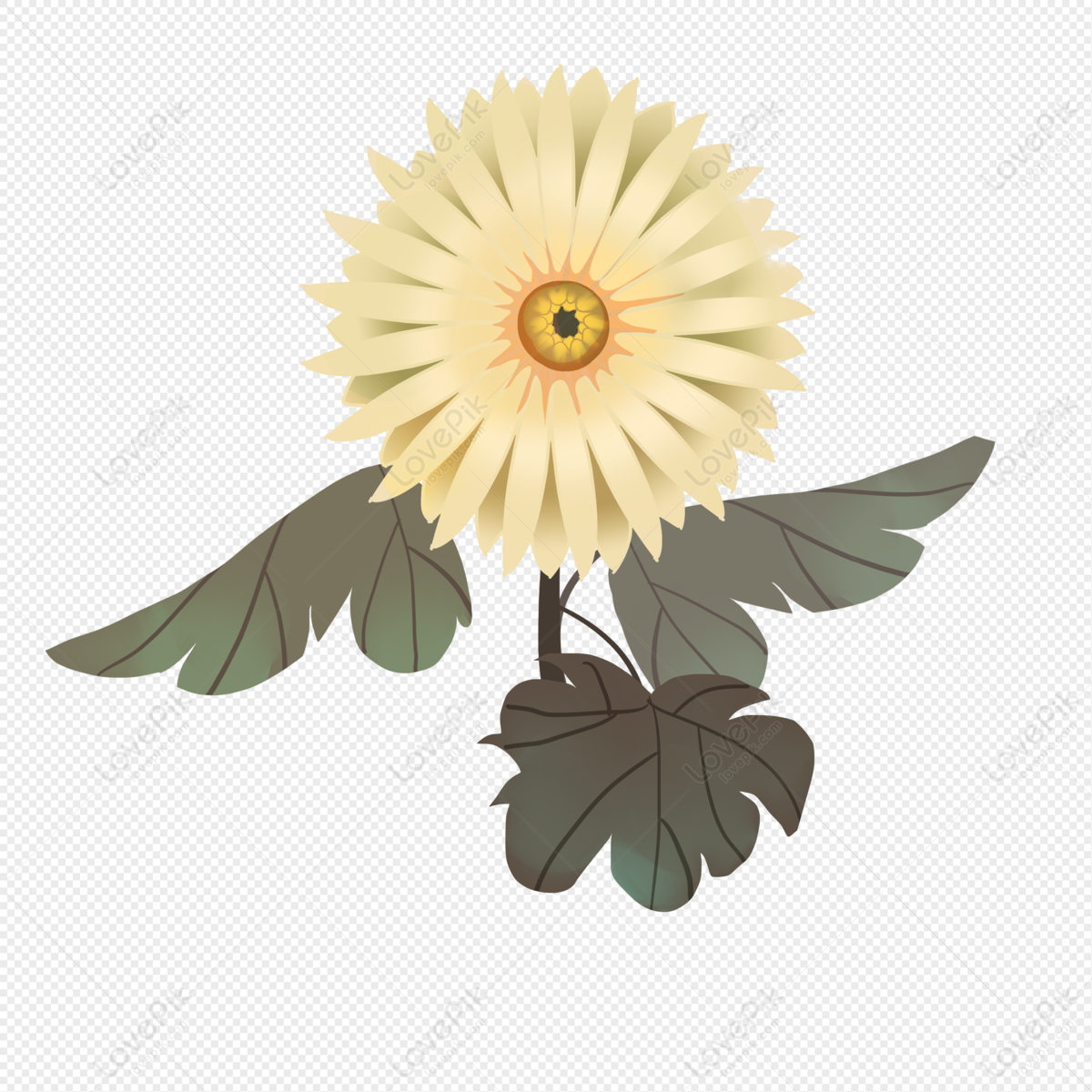 Hand Drawn Cartoon Daisy PNG Transparent Background And Clipart Image For  Free Download - Lovepik | 401632290