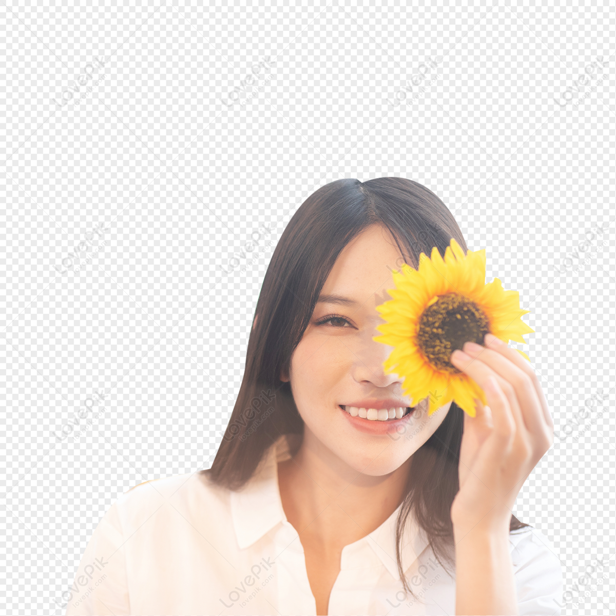 Inicio Mujer Celebración Girasol PNG Imágenes Gratis - Lovepik