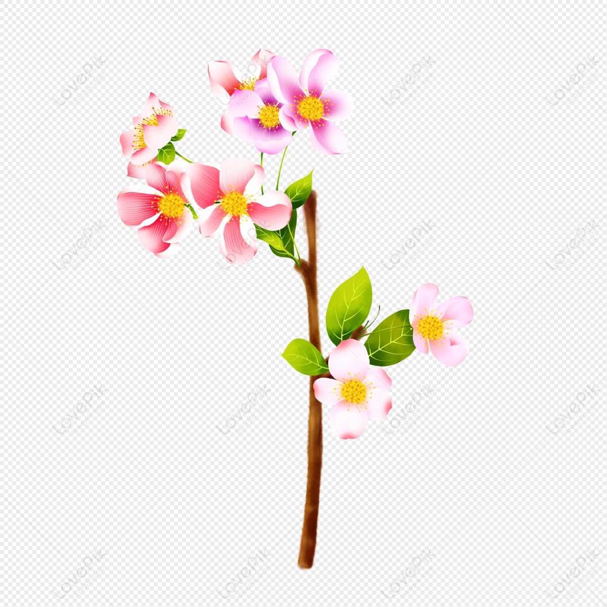 Peach Blossom PNG Images With Transparent Background | Free ...