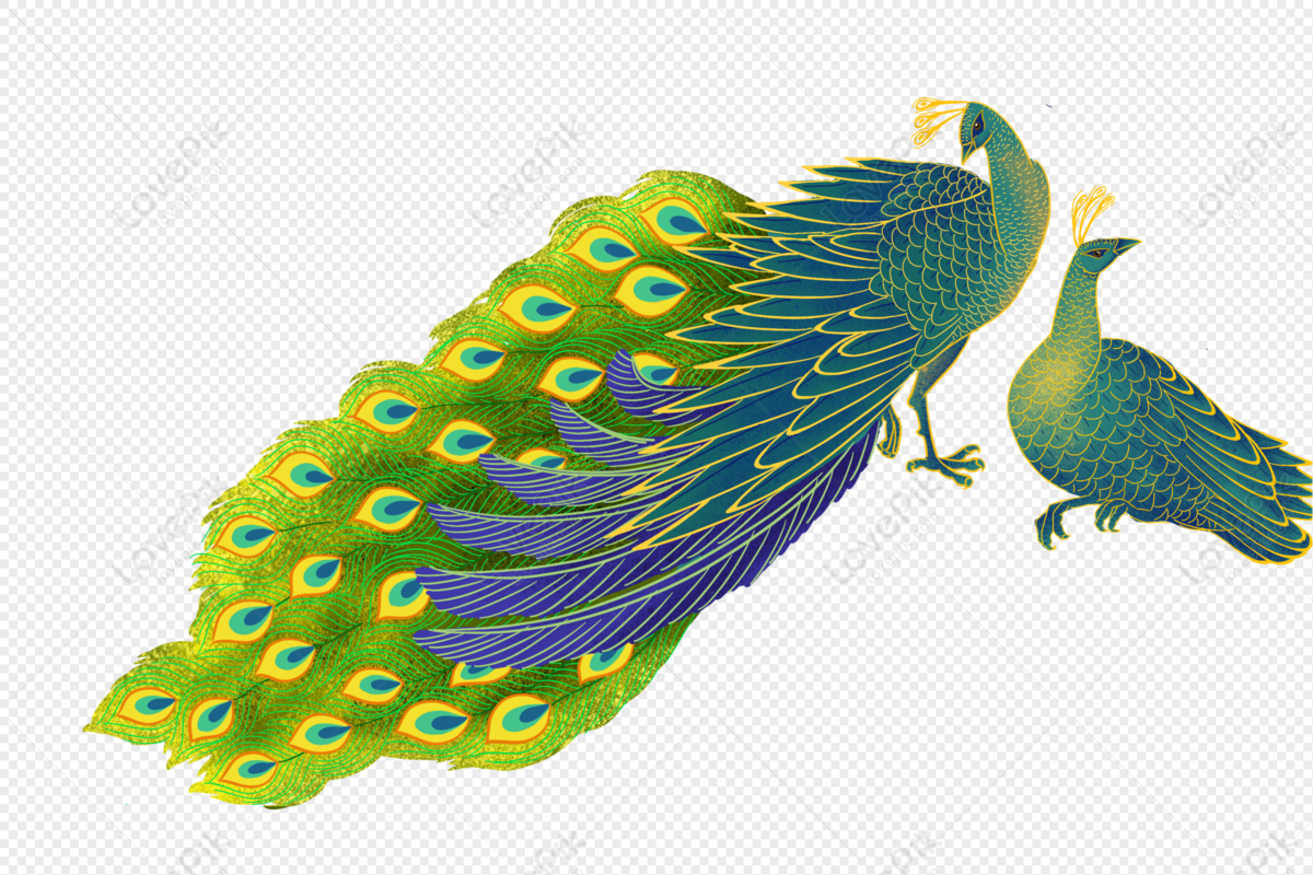 Peacock Vector Art, Icons, and Graphics for Free Download