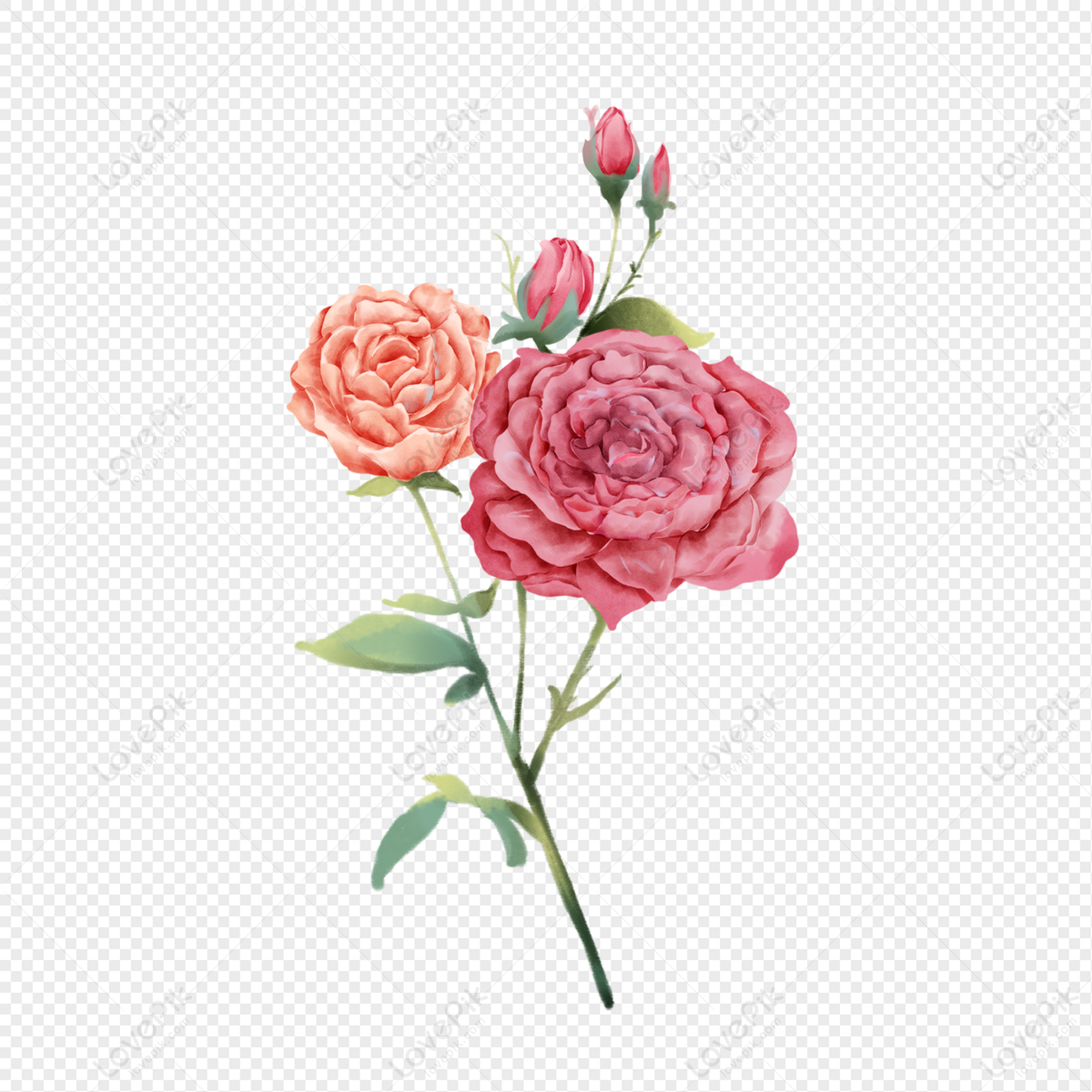 Peony PNG Free Download And Clipart Image For Free Download - Lovepik |  401671473