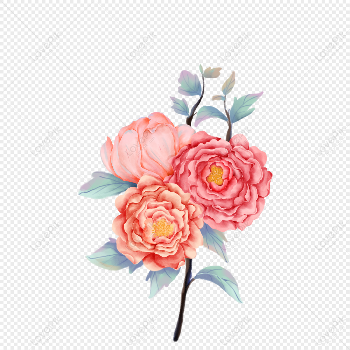 Peony PNG Hd Transparent Image And Clipart Image For Free Download -  Lovepik | 401671474