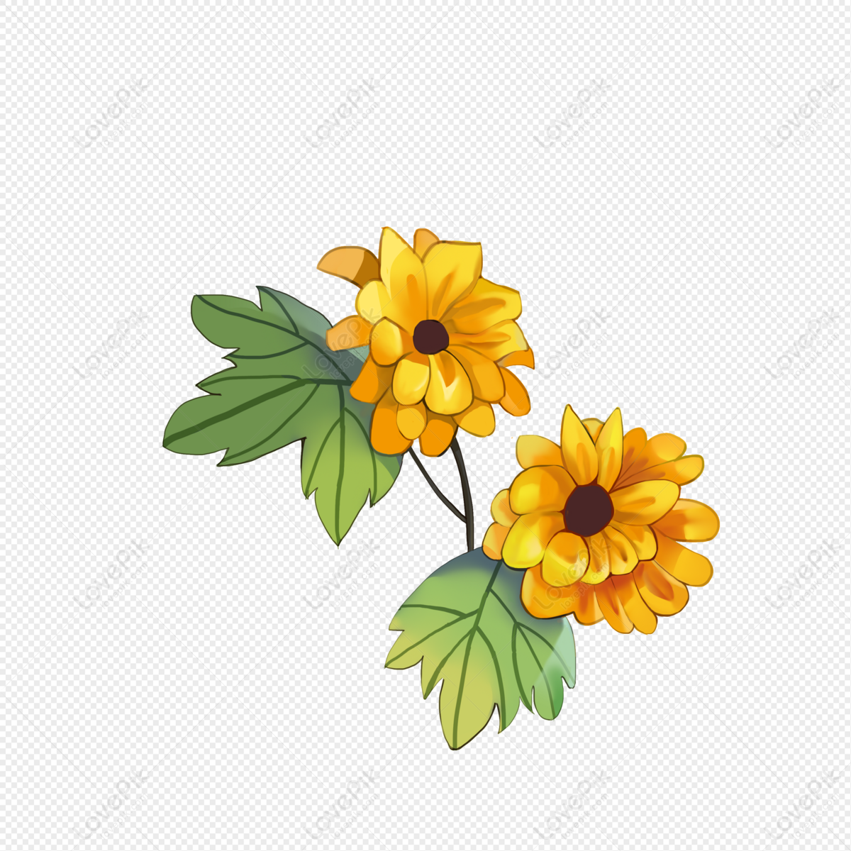 Small Daisy PNG Transparent Background And Clipart Image For Free Download  - Lovepik | 401632300