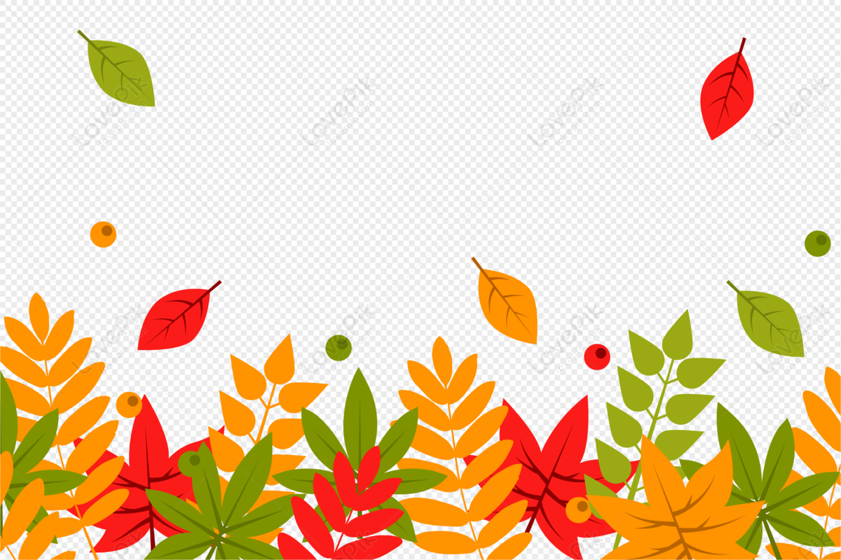 Thanksgiving leaves border, almond leaves, thanksgiving border, gratitude background png transparent background