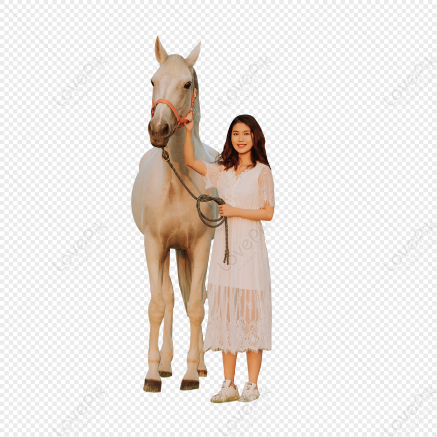 Cavalo branco Png - Baixar Imagens em PNG