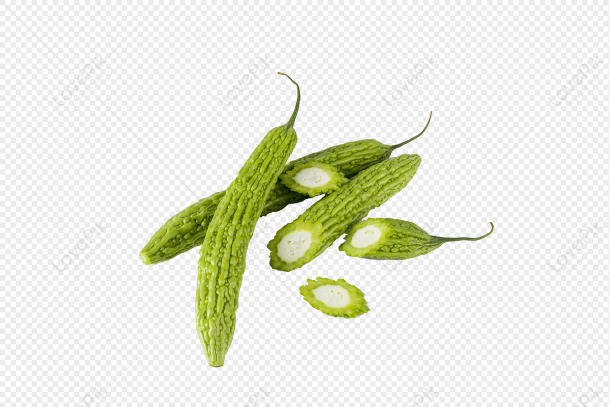 Bitter Gourd PNG Transparent Background And Clipart Image For Free Download  - Lovepik | 401678010