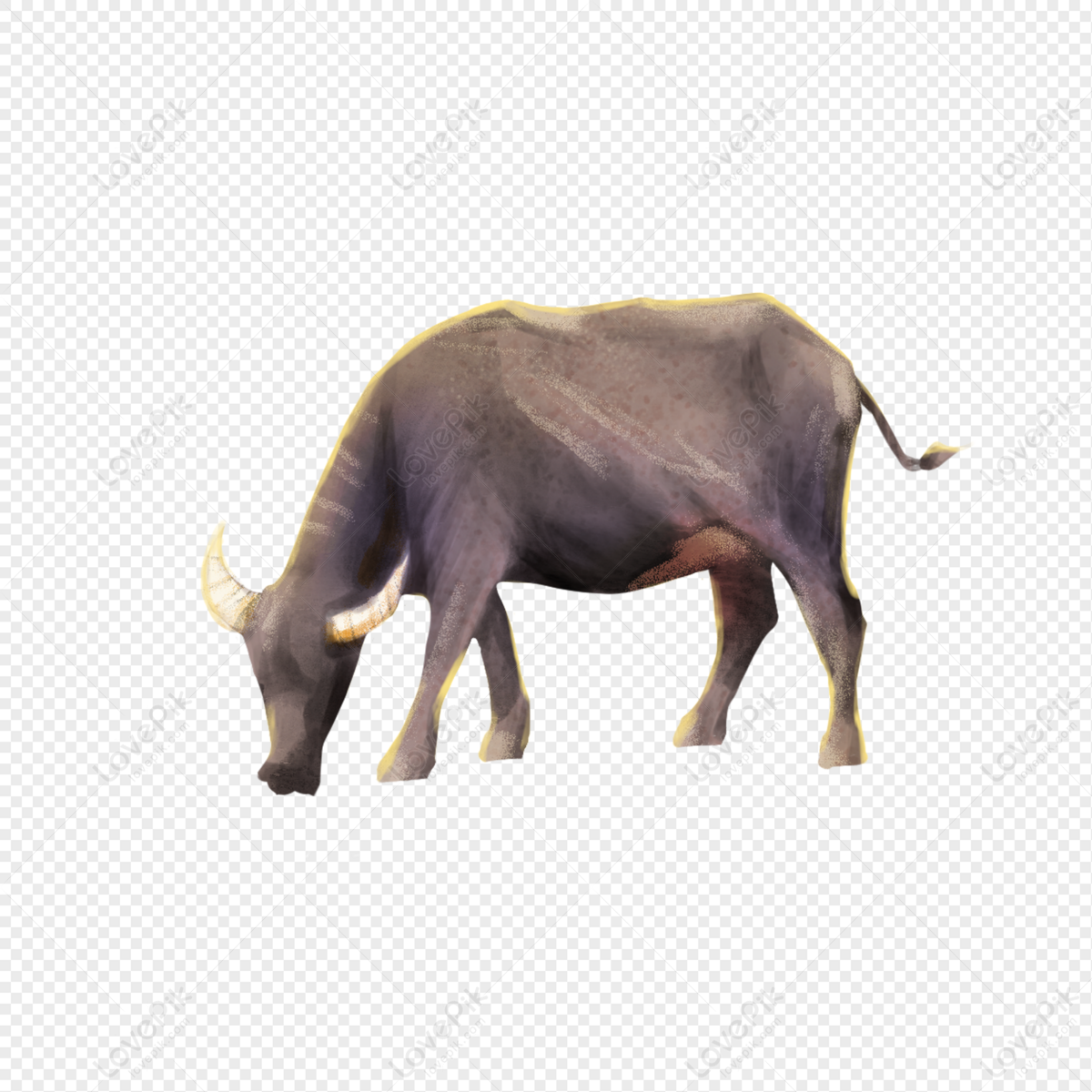 indian buffalo clipart