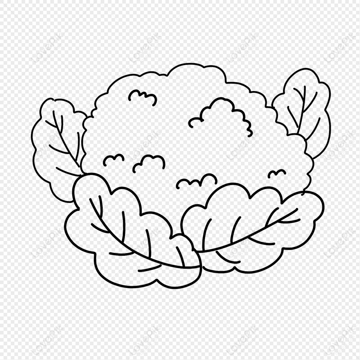 Cauliflower Line Art: Over 1,933 Royalty-Free Licensable Stock  Illustrations & Drawings | Shutterstock