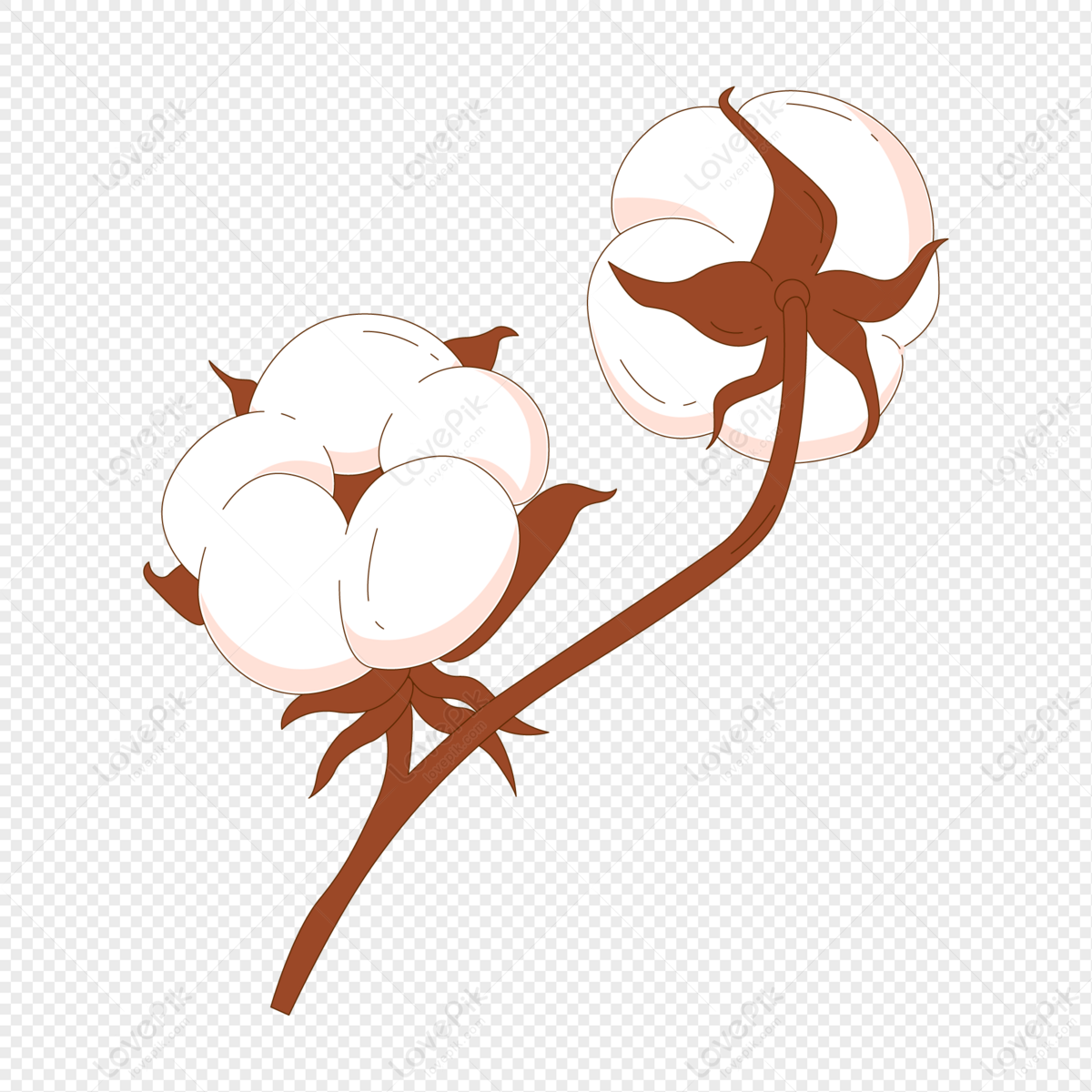 Cotton, Cotton Logo, Cotton Material, Illustration Cotton PNG Image And ...