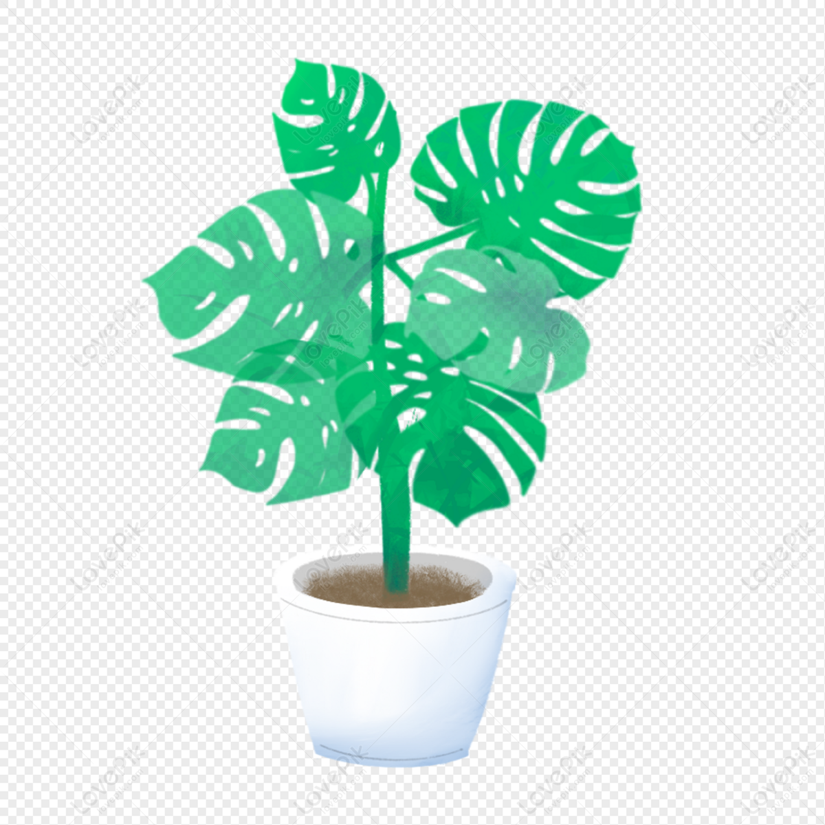 Decorative Green Plant Leaves Image Free PNG And Clipart Image For Free ...