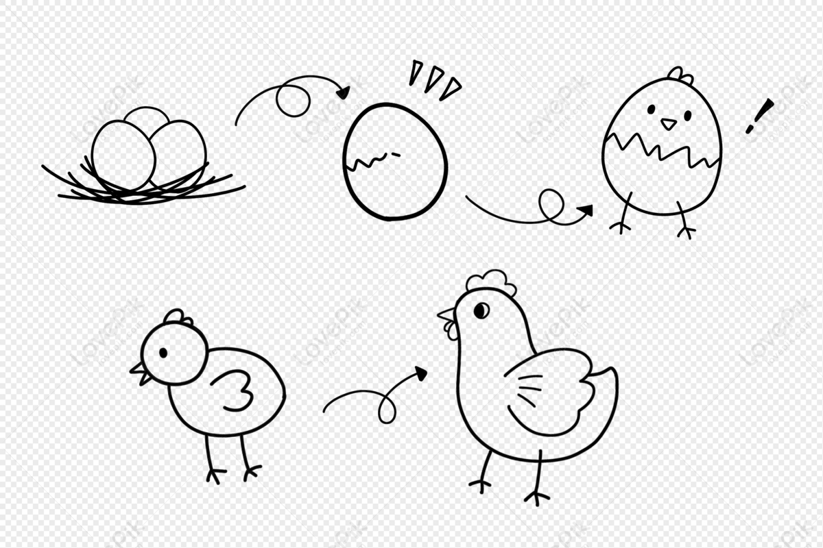 Premium Vector | Hen chicken standing hand drawn sketch.vector illustration.
