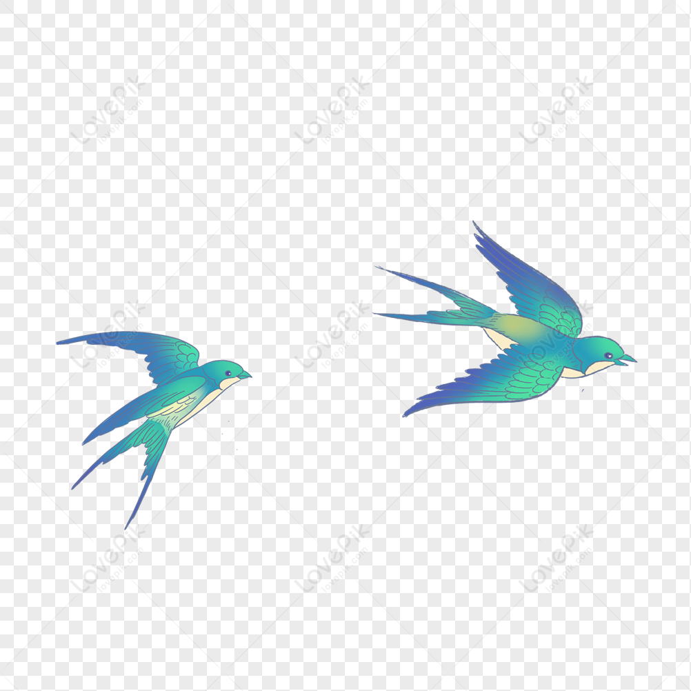 Flying Birds PNG Transparent Background, Free Download #3494 - FreeIconsPNG