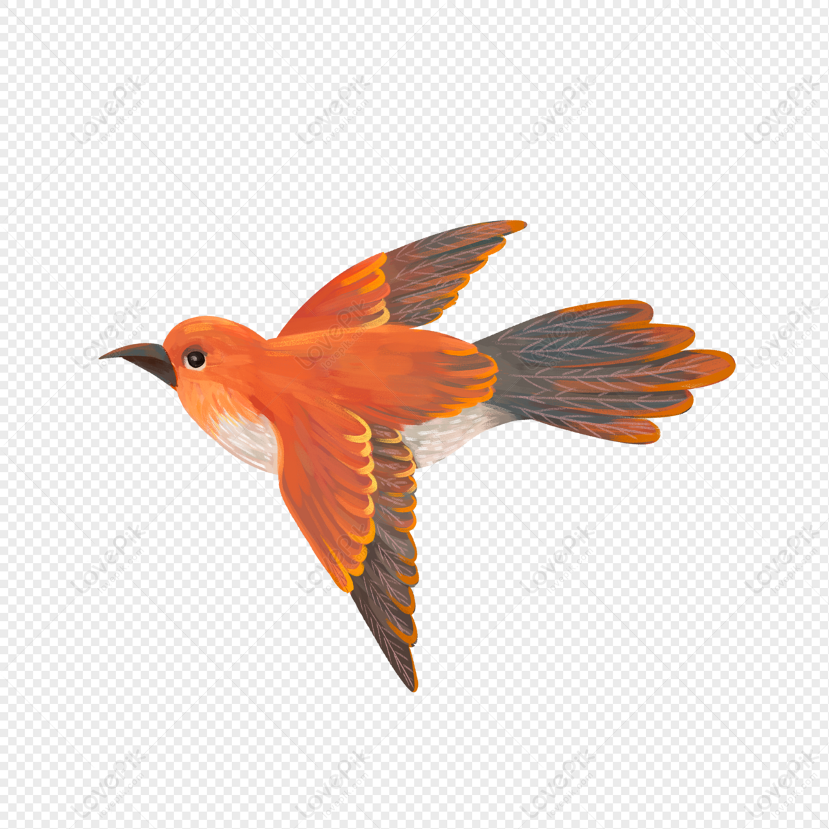 Bird PNG transparent image download, size: 900x572px