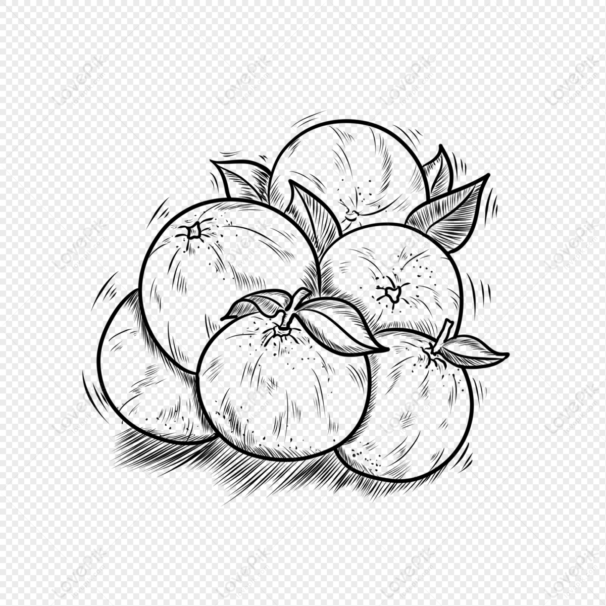 free fruit clipart black and white