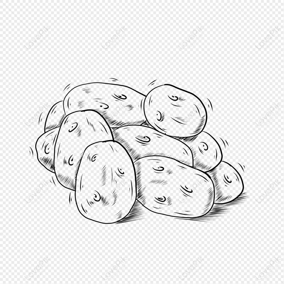 Food Vegetable Black And White Lineart Potato Png Transparent Image And  Clipart Image For Free Download - Lovepik | 401693527