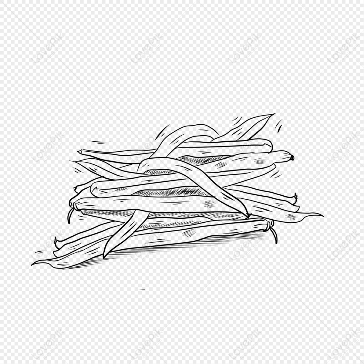 green beans clipart black and white