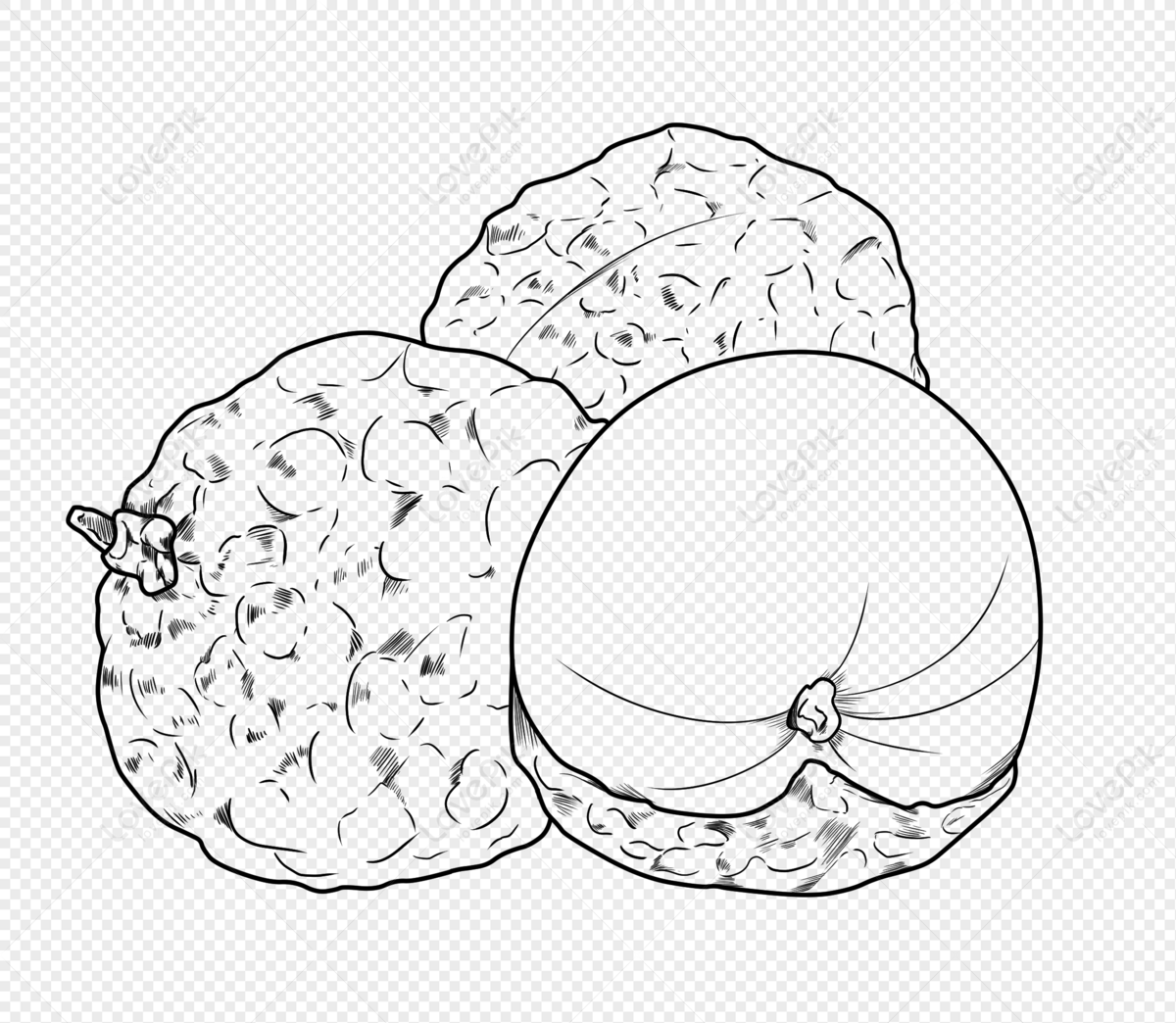 Litchi Free Png And Clipart Image For Free Download - Lovepik 