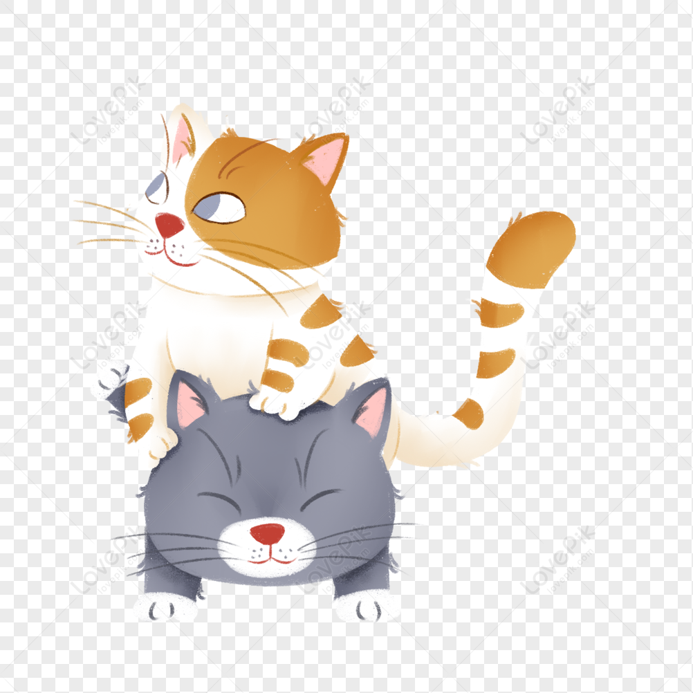 играющий кот PNG изображения с прозрачным фоном | Скачать бесплатно на  Lovepik.com