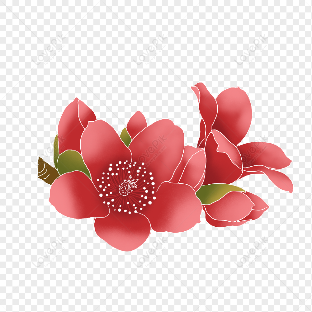 Red Flowers PNG Image And Clipart Image For Free Download - Lovepik |  401681148