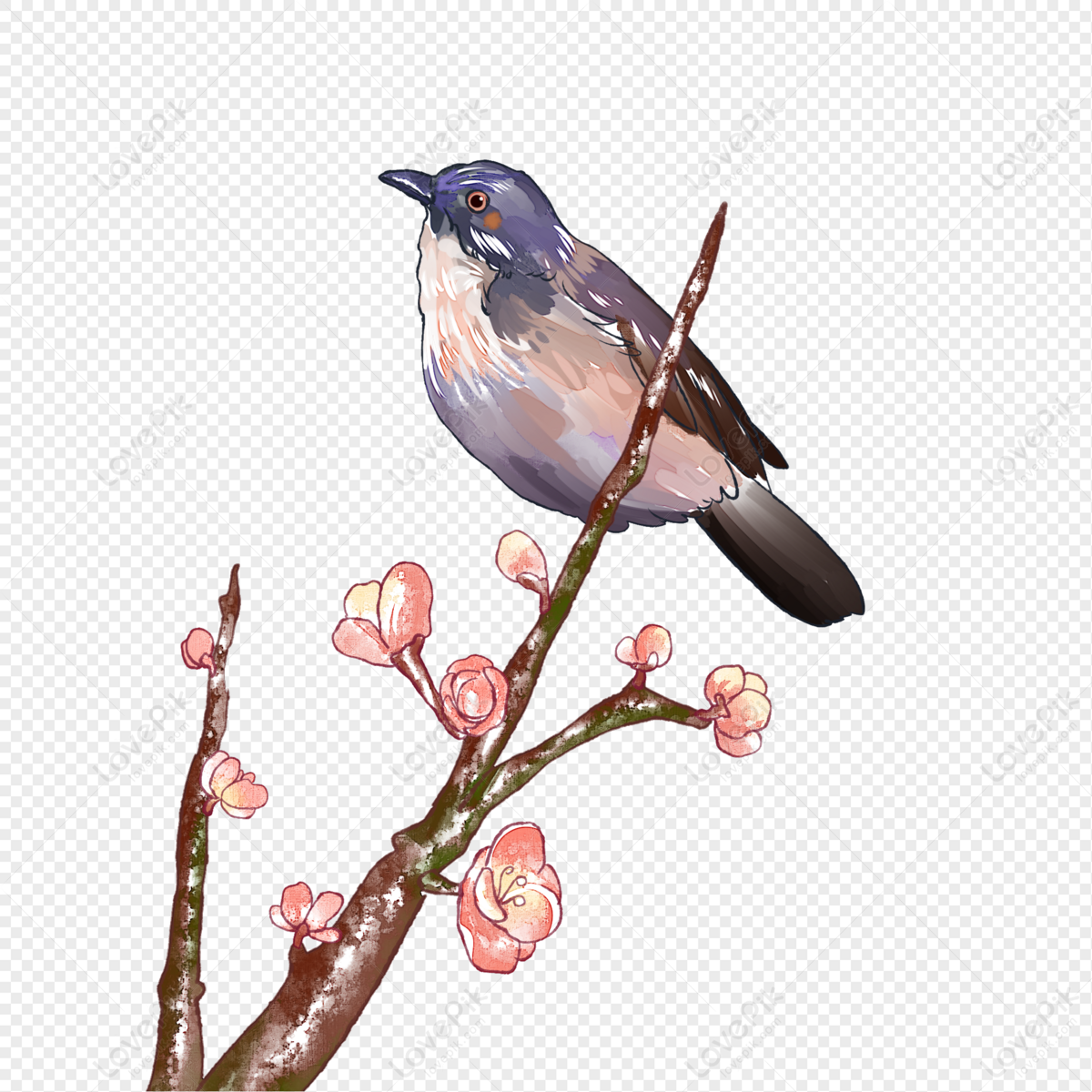 Flores De Primavera Y Pájaros PNG Imágenes Gratis - Lovepik