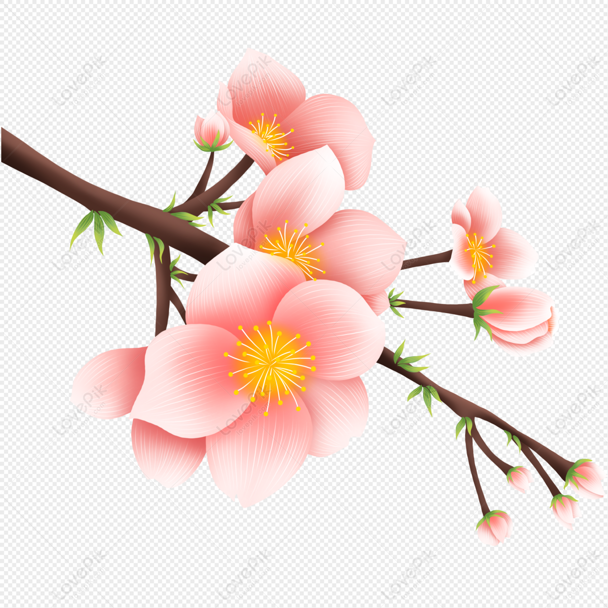 Flores De Durazno Rosa Primavera PNG Imágenes Gratis - Lovepik