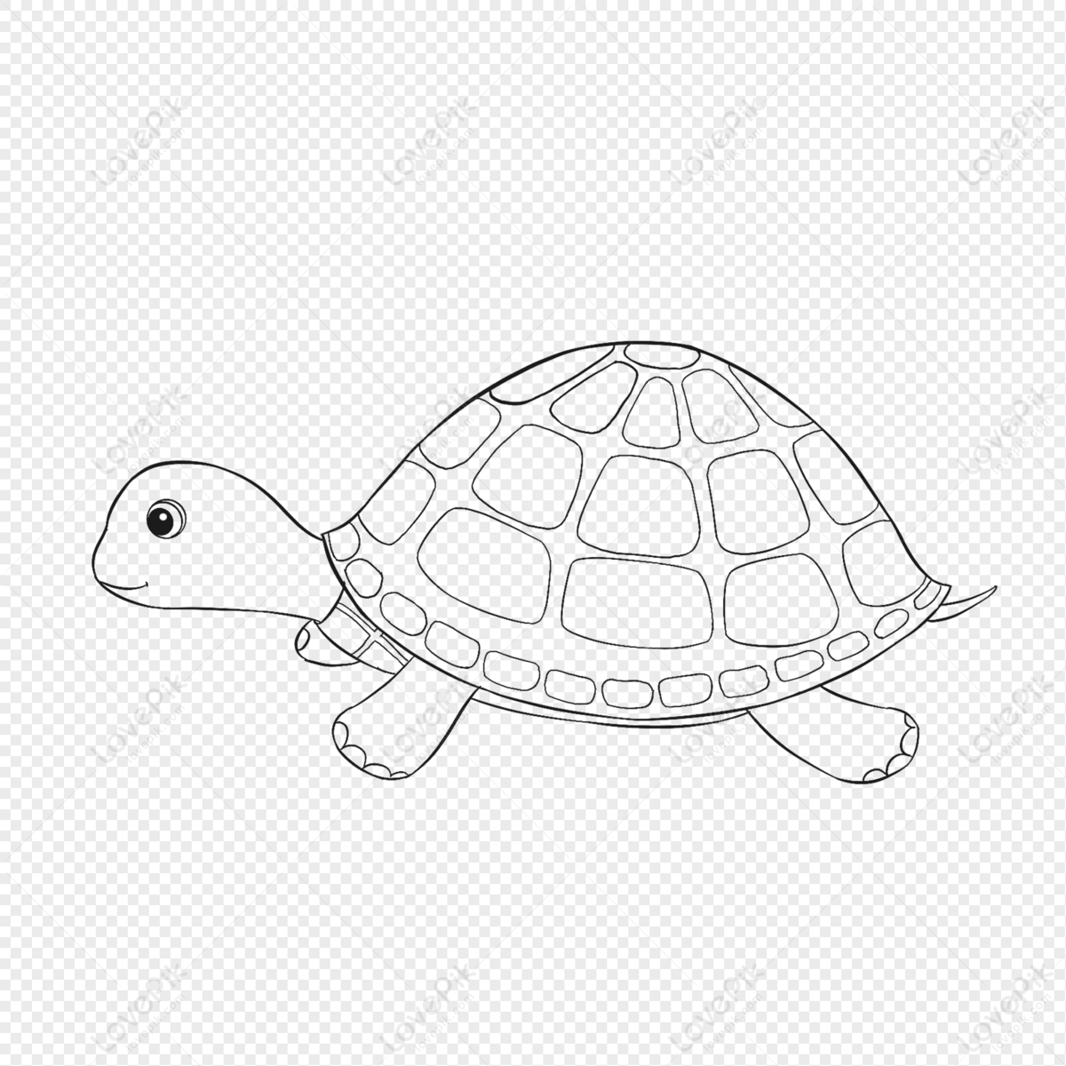 Turtle Drawing PNG Images With Transparent Background Free, 42% OFF