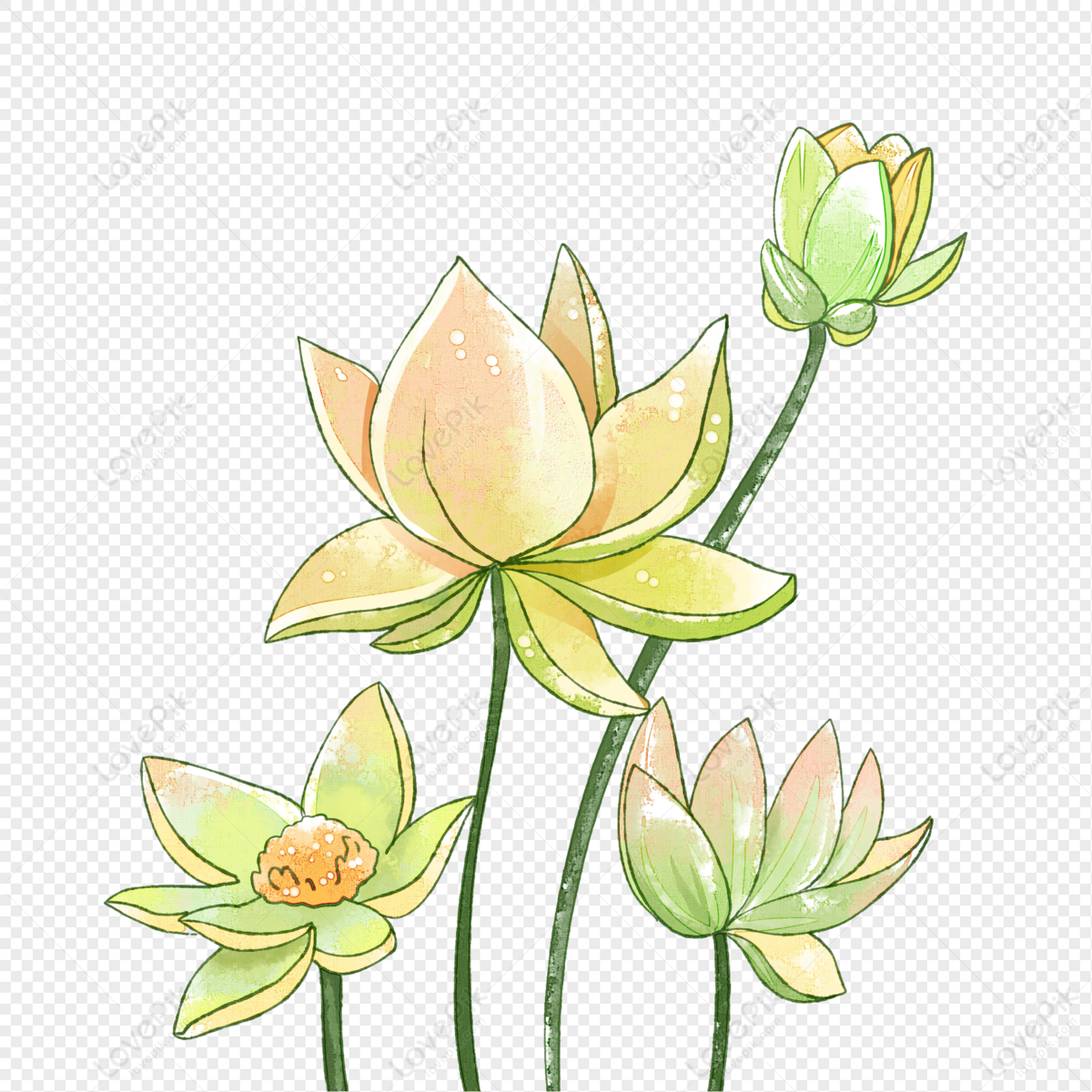 Water Lily Flower For Coloring On A Round Circle Outline Sketch Drawing  Vector, Flower Drawing, Wing Drawing, Water Drawing PNG and Vector with  Transparent Background for Free Download