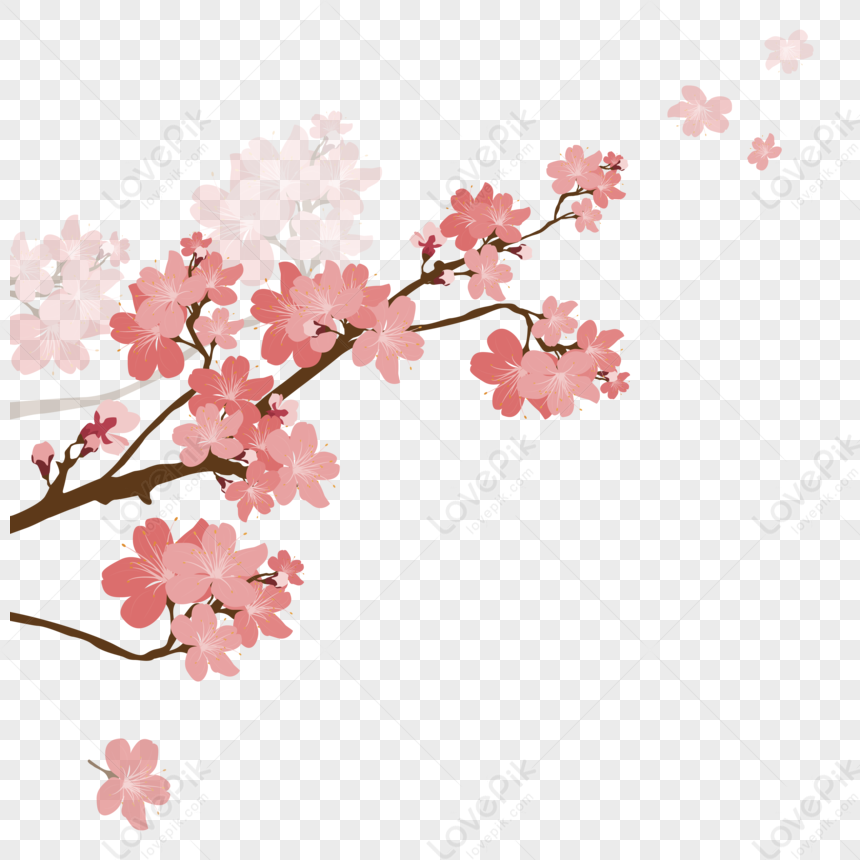 A Flowering Branch, Branch Tree, Branch Flower, Blossom Branch Free PNG ...