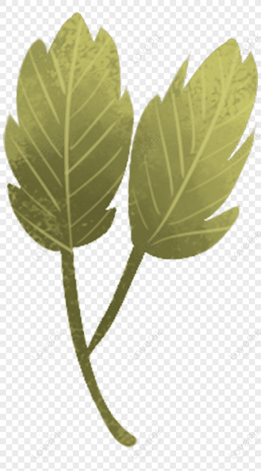 Cartoon Leaves PNG Image Free Download And Clipart Image For Free ...