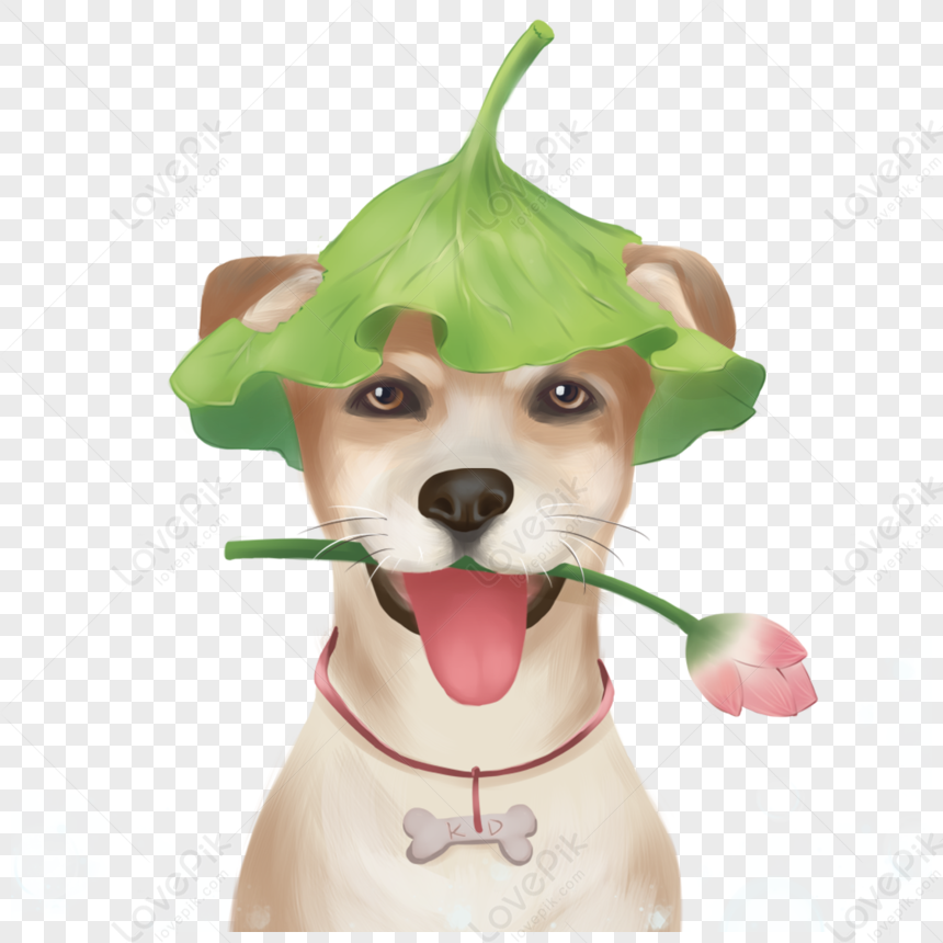 Desenho De Animal De Estimação Bonito Fofo Pintado à Mão Pode Se PNG  Imagens Gratuitas Para Download - Lovepik