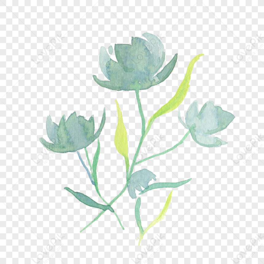 Flower Flower Watercolor Flower Vector Flower Flowers Free PNG And