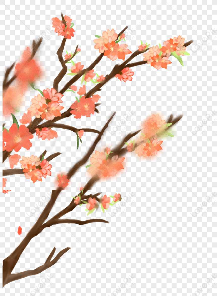 Flowering Branches, Gray Lines, Lines Red, Orange Red Free PNG And ...