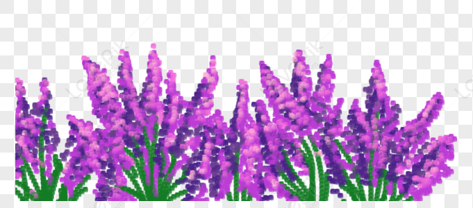 Lavender Background png download - 801*976 - Free Transparent Bonzibuddy  png Download. - CleanPNG / KissPNG