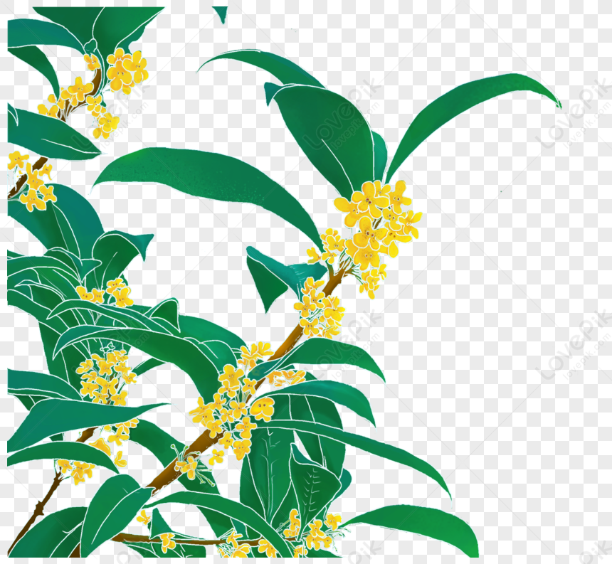 Lovely Drawn Flowers Petals Flowers Yellow Flowers Painting Dark Flowers Png Transparent