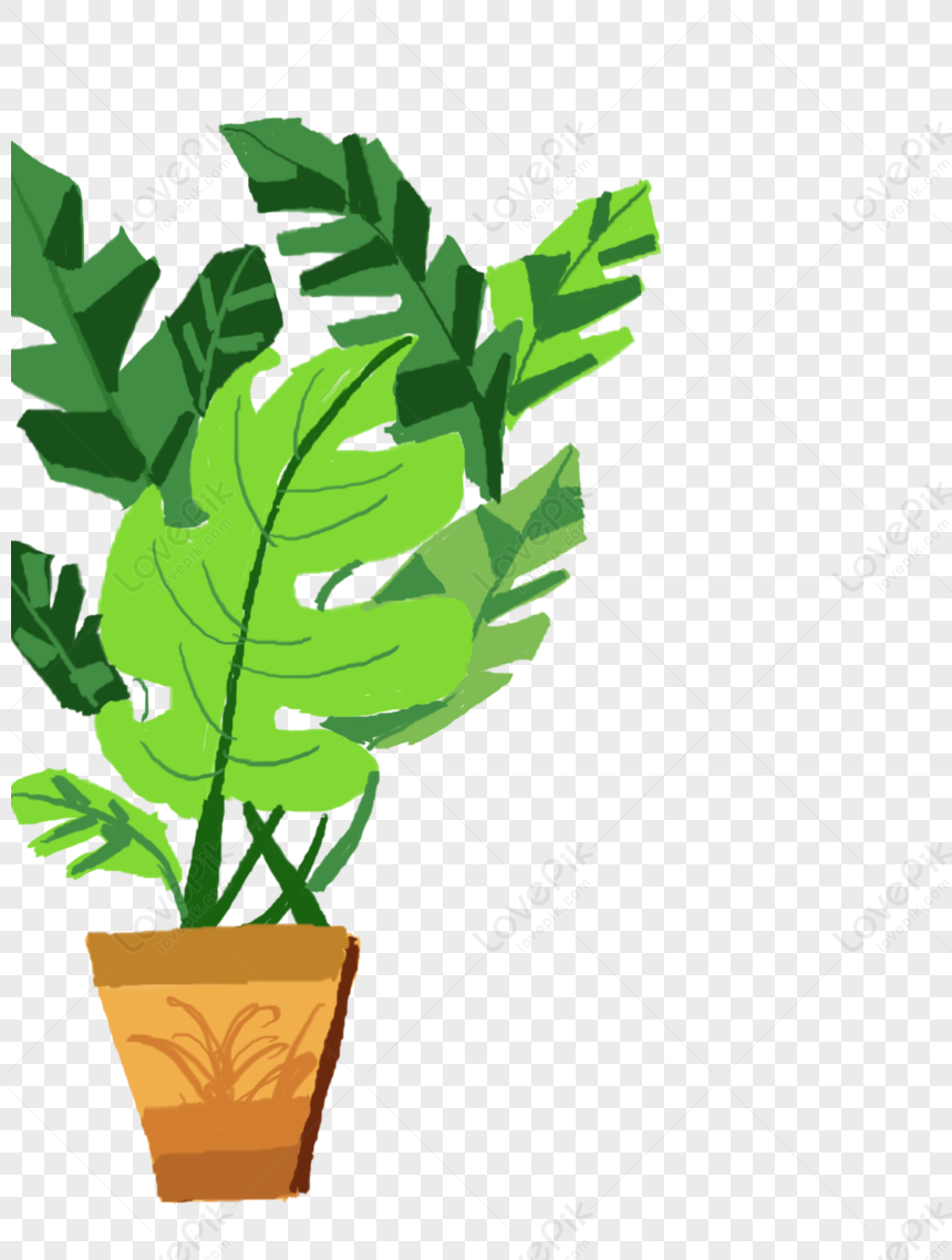 Plant Potted Plant, Plant Transparent, Plant Pot, Minimalist Plant PNG ...