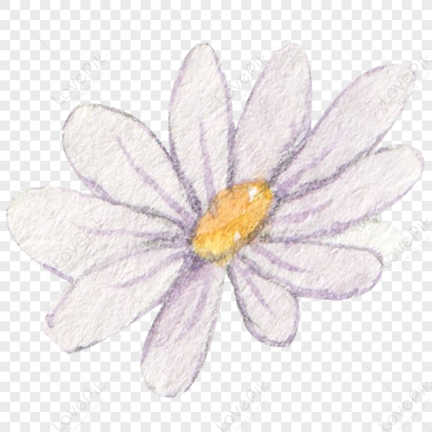 Flores De Acuarela PNG Imágenes Gratis - Lovepik