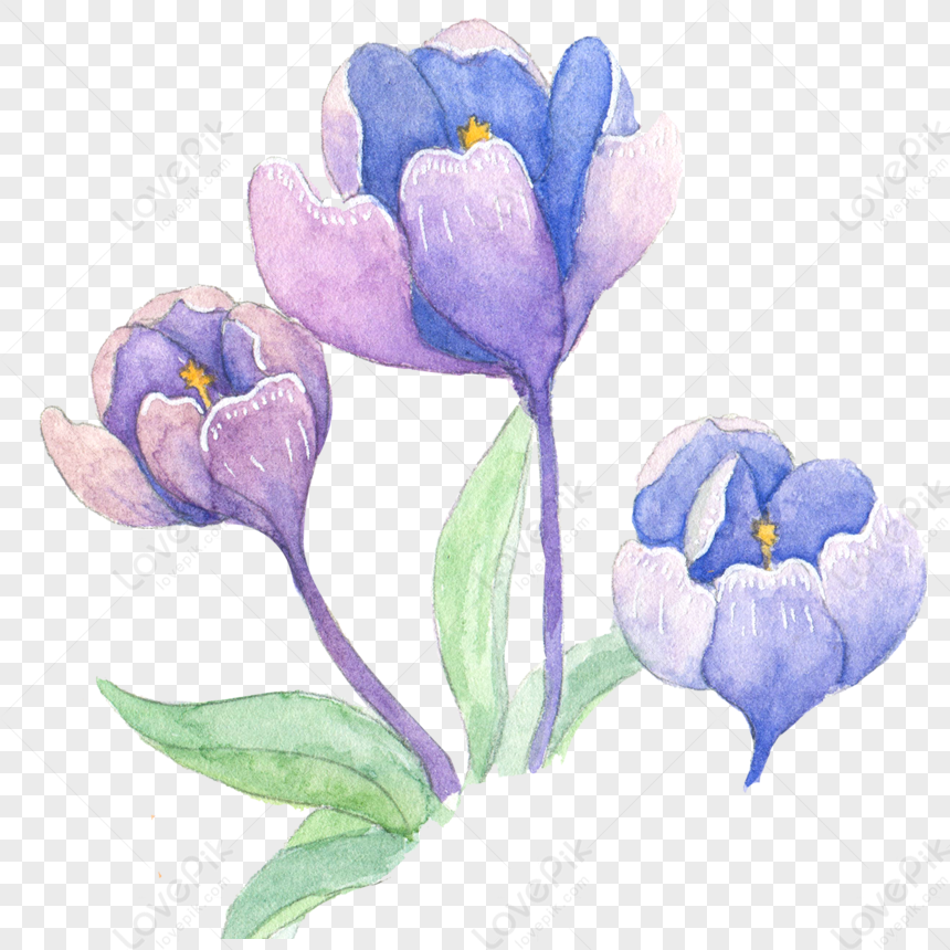 Watercolor Flowers Flowers Purple Blue Flowers Flowers Painting Png