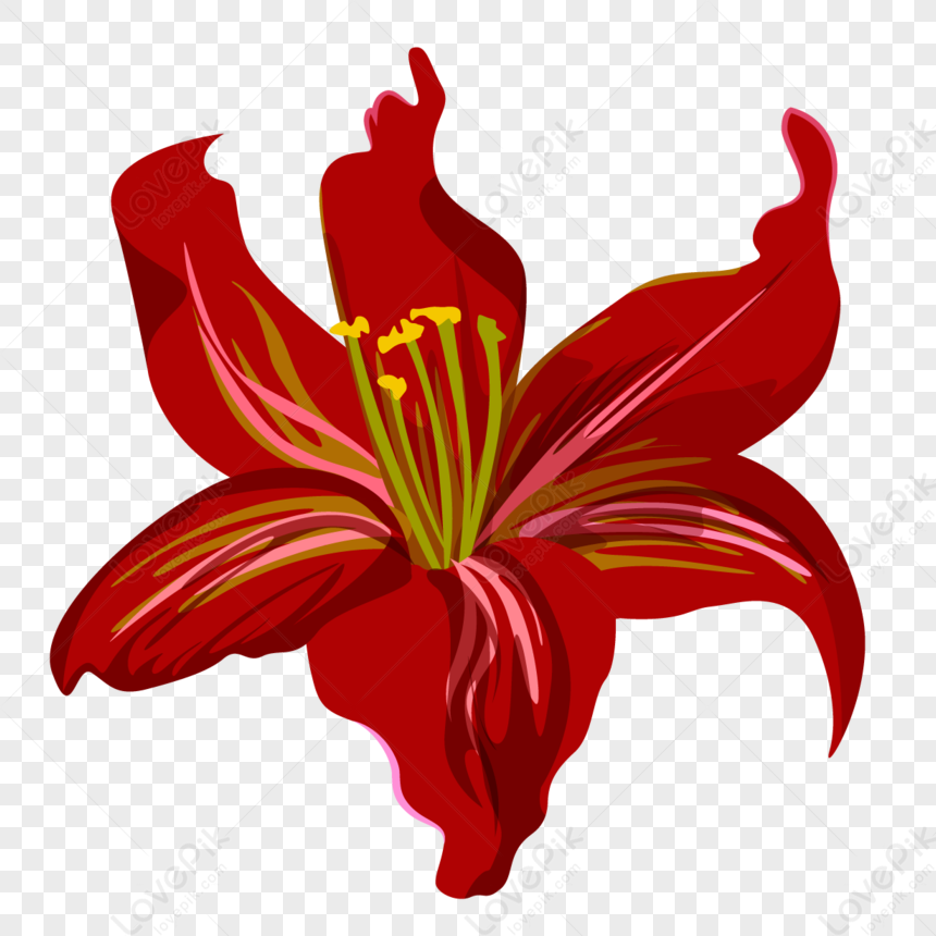 Una Flor Roja PNG Imágenes Gratis - Lovepik