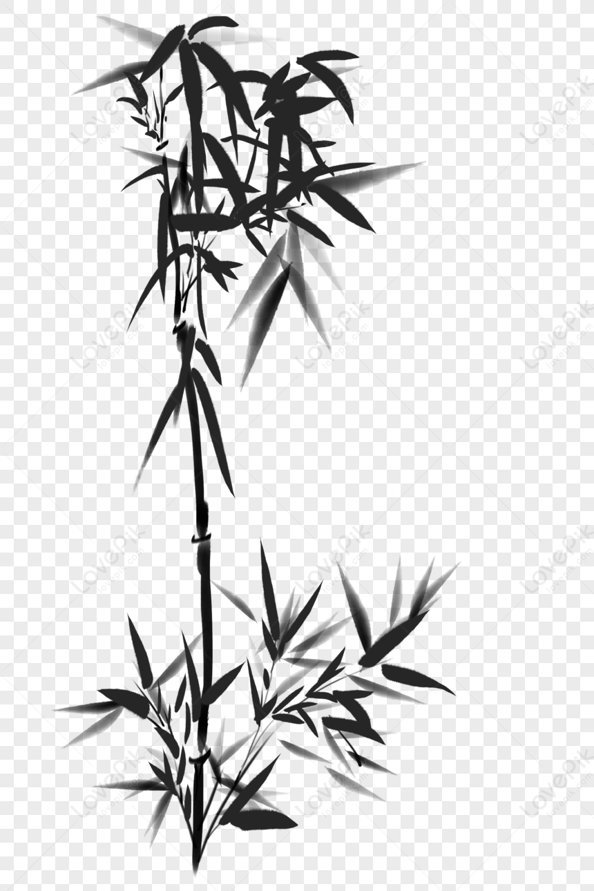 Bamboo, Bamboo Tree, Bamboo Plant, Bamboo Black PNG White Transparent ...