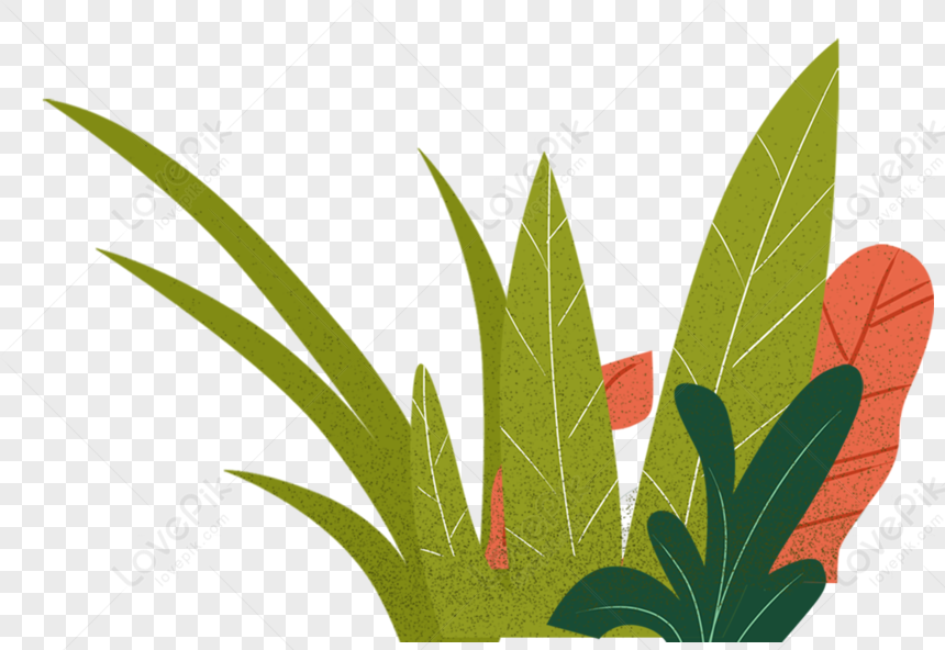 Botany PNG Free Download And Clipart Image For Free Download - Lovepik ...