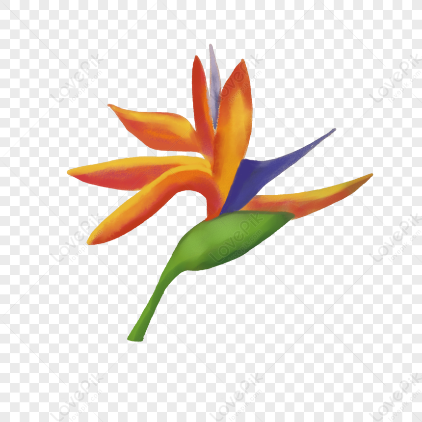Hình ảnh Những Bông Hoa Tươi đẹp PNG Miễn Phí Tải Về - Lovepik