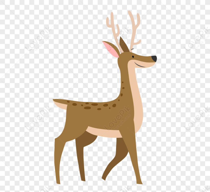 Fawn Free Png And Clipart Image For Free Download - Lovepik 