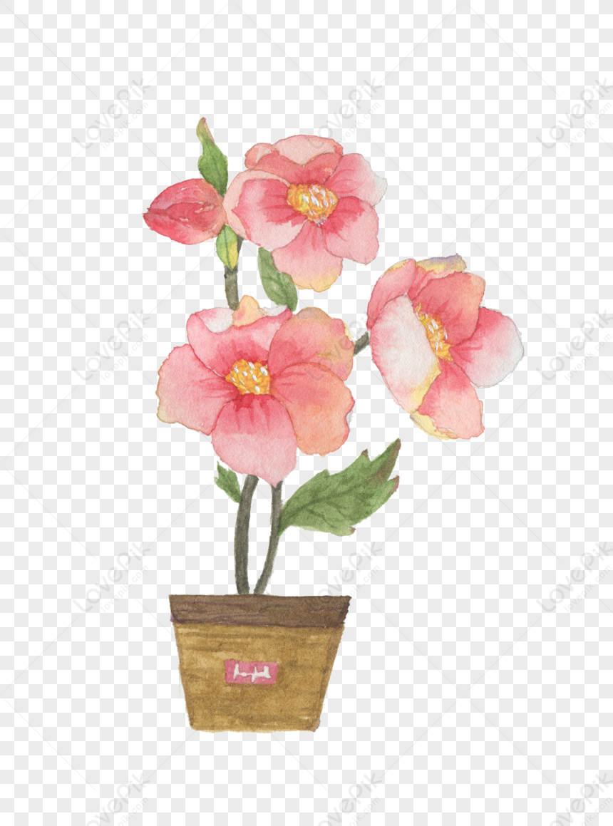 Flower Bonsai, Chinese Pink, Flowers Pot, Pink Watercolor Free PNG And ...